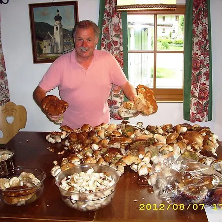 Senftahaus Lejlighed Innervillgraten